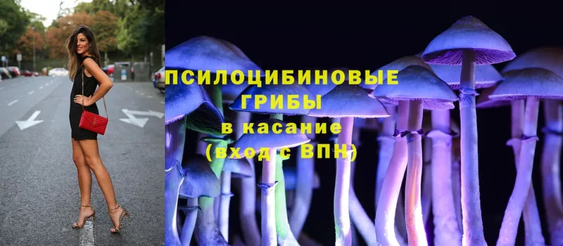 где продают   shop какой сайт  Галлюциногенные грибы Magic Shrooms  Покров 